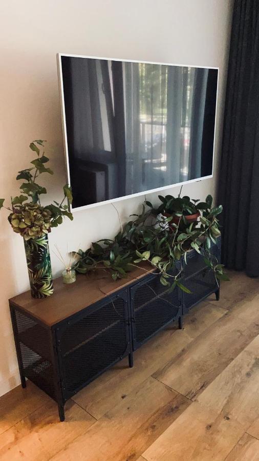 ורוצלב Green Sofa Apartment מראה חיצוני תמונה